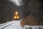 UP local trundles along the tree-lined ex-R&SW